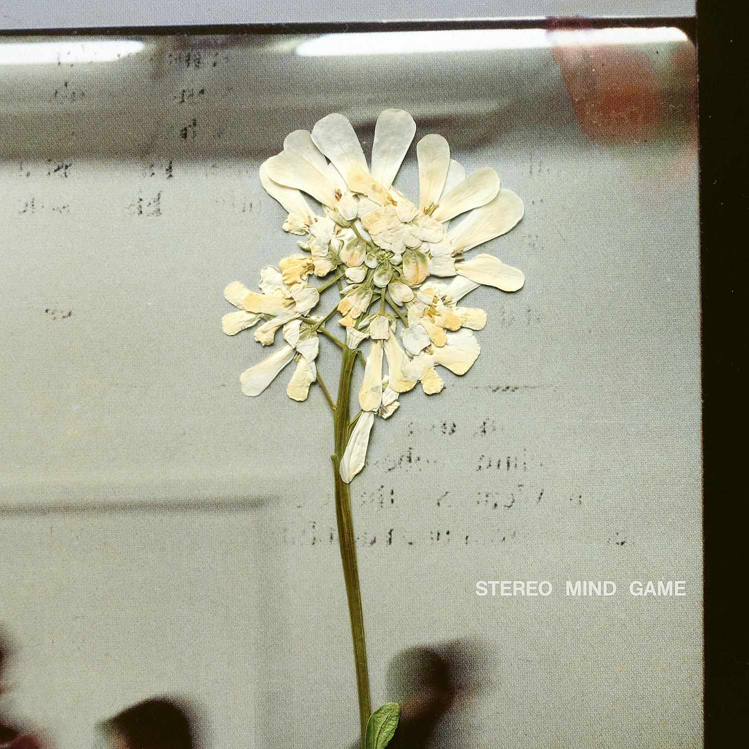 Daughter Stereo Mind Game cover artwork