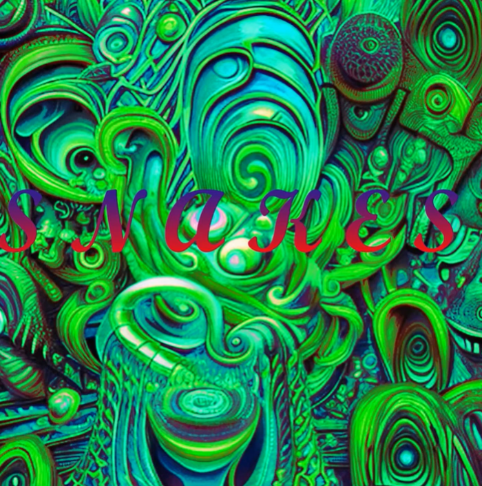 Lil Soz — Snakes cover artwork