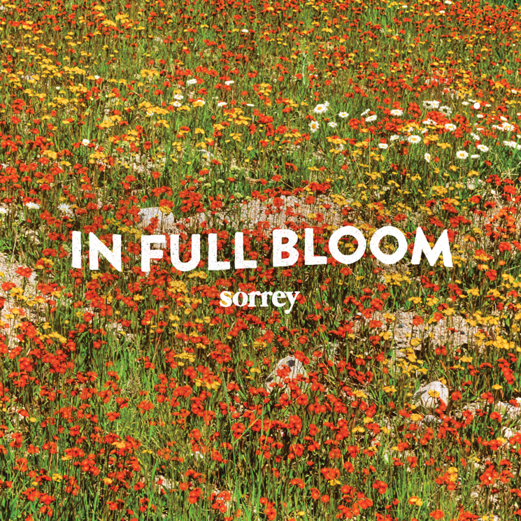 Sorrey In Full Bloom cover artwork