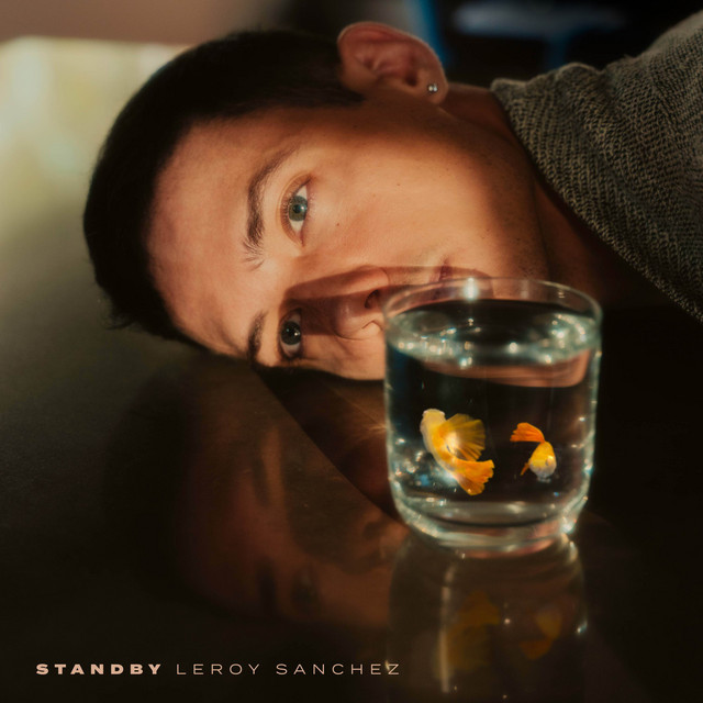 Leroy Sanchez STANDBY (EP) cover artwork