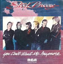 Steel Breeze — You Don&#039;t Want Me Anymore cover artwork