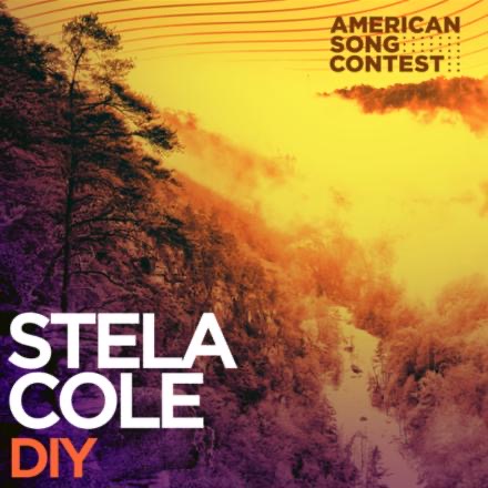 Stela Cole — DIY cover artwork