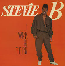 Stevie B I Wanna Be the One cover artwork