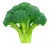 Broccoli avatar