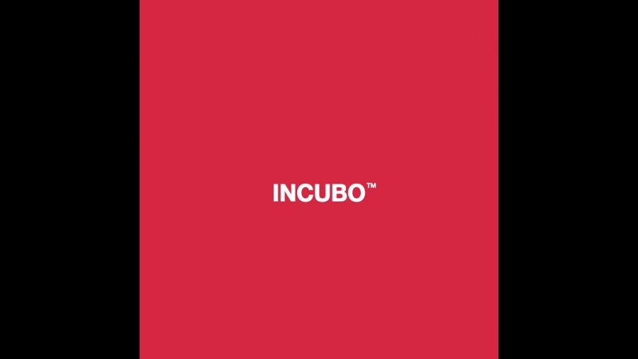 Surfing Incubo cover artwork
