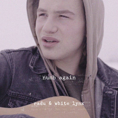 Radu & White Lynx — Numb Again cover artwork