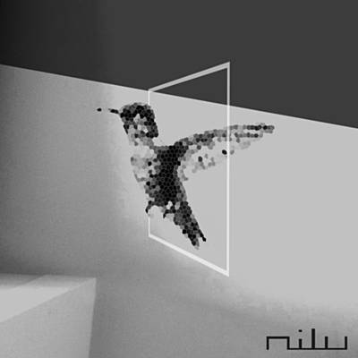 nilu — Hummingbird cover artwork