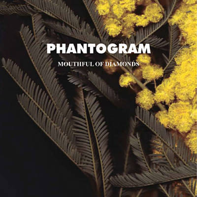 Phantogram Mouthful of Diamonds cover artwork
