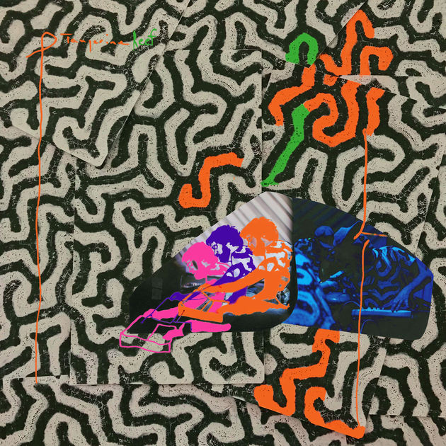 Animal Collective Tangerine Reef cover artwork