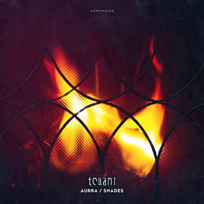 Tchami featuring Donnie Sloan &amp; Ricky Ducati — Shades cover artwork