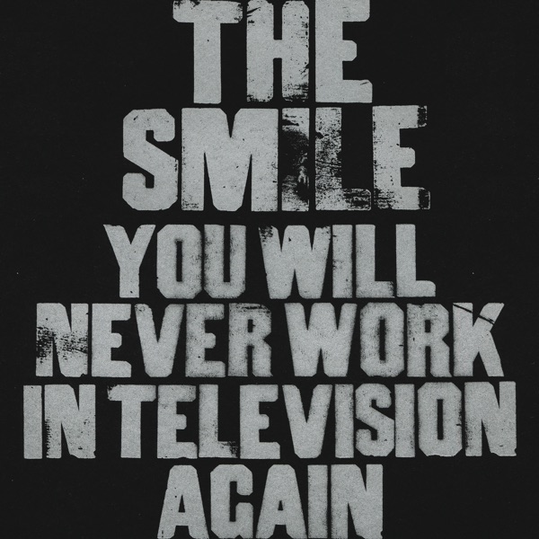 The Smile You Will Never Work in Television Again cover artwork
