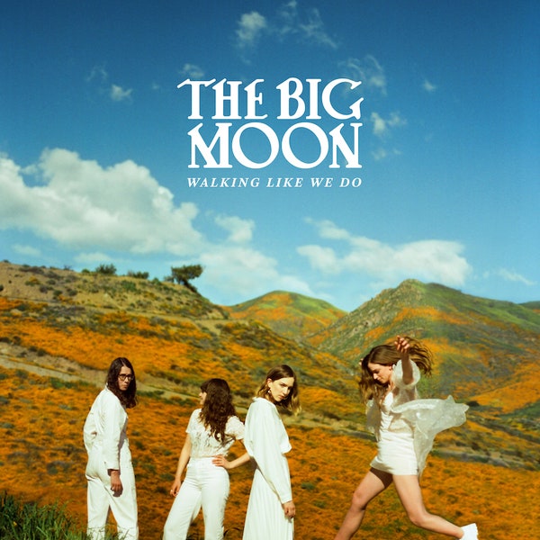 The Big Moon Why cover artwork