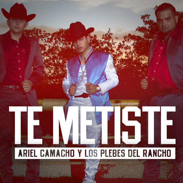 Ariel Camacho y Los Plebes Del Rancho — Te Metiste cover artwork