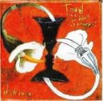 Toad the Wet Sprocket — Something&#039;s Always Wrong cover artwork