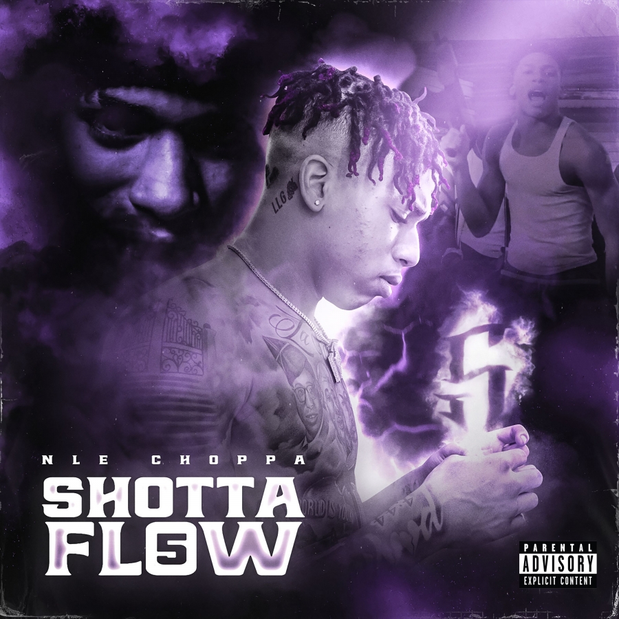NLE Choppa Shotta Flow 5 cover artwork