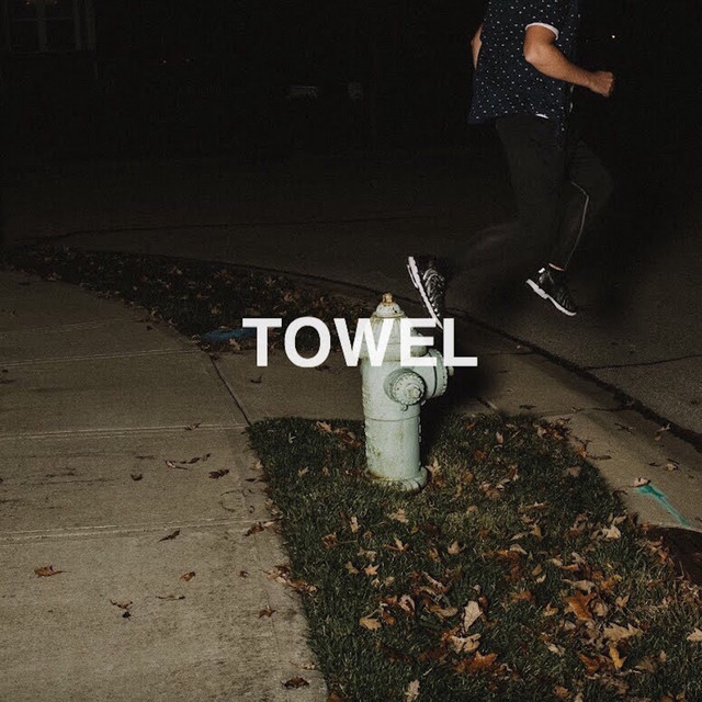 The Wldlfe — Towel cover artwork