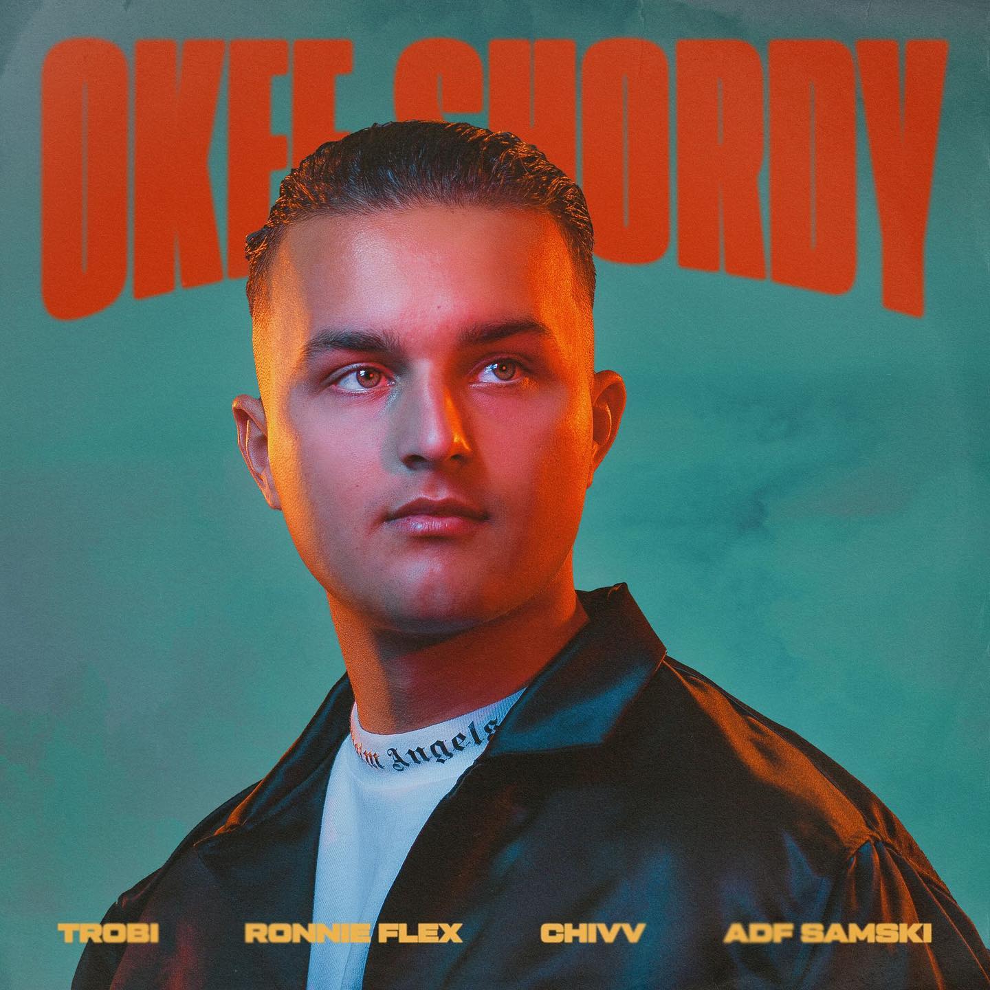 Trobi featuring ADF Samski, Ronnie Flex, & Chivv — Okee Shordy cover artwork