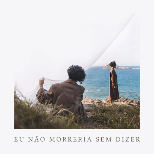 Troá! Eu Não Morreria Sem Dizer cover artwork