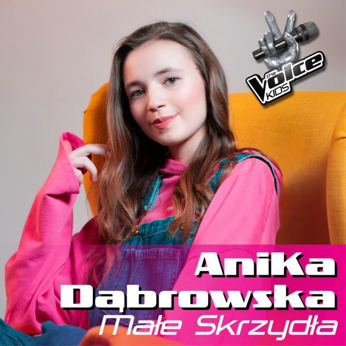AniKa Dąbrowska — Małe Skrzydła cover artwork