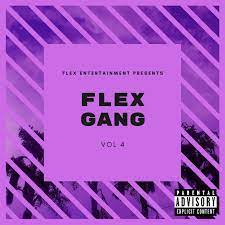 Flex Entertainment Flex Gang, Vol. 4 cover artwork