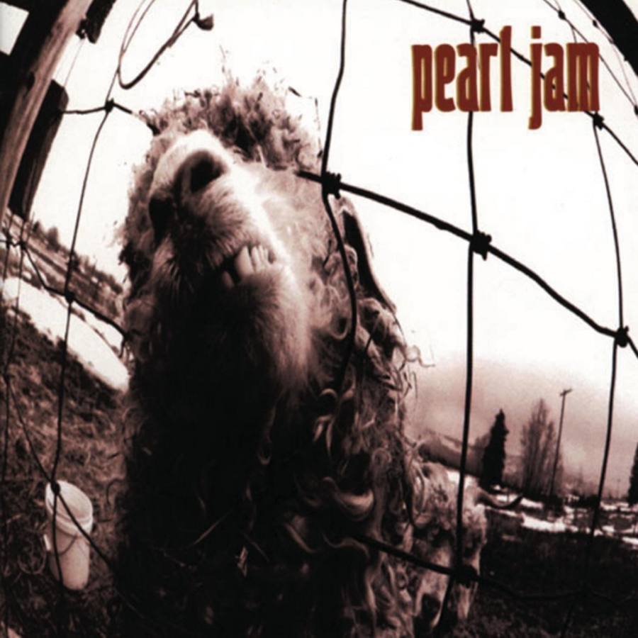 Pearl Jam — Elderly Woman Behind the Counter in a Small Town cover artwork