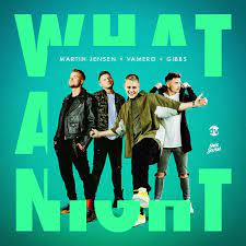Martin Jensen, Vamero, & Gibbs — What A Night cover artwork