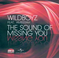 Wildboyz ft. featuring Ameerah The Sound Of Missing You cover artwork