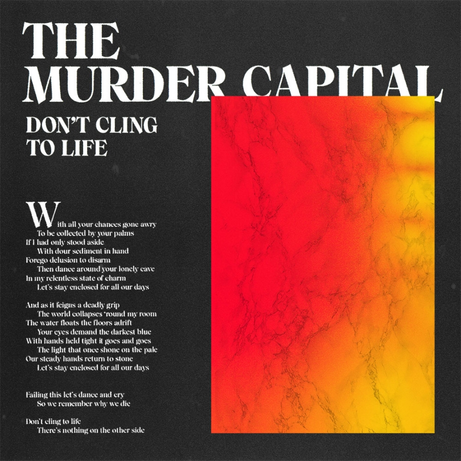The Murder Capital Don&#039;t Cling To Life cover artwork