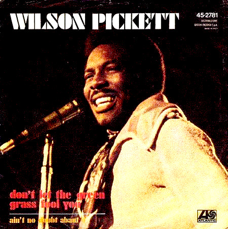 Wilson Pickett — Don&#039;t Let The Green Grass Fool You cover artwork