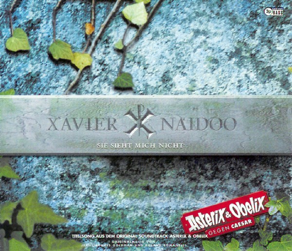 Xavier Naidoo — Sie sieht mich nicht cover artwork