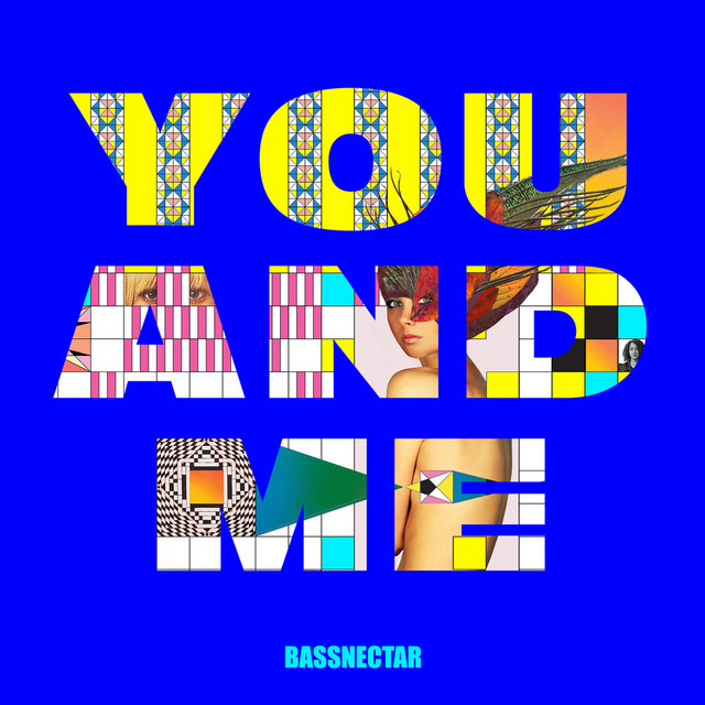 Bassnectar featuring W. Darling — You &amp; Me cover artwork