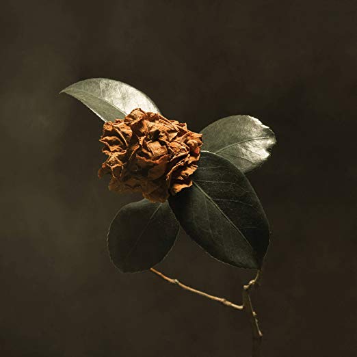 St. Paul &amp; The Broken Bones Young Sick Camellia cover artwork