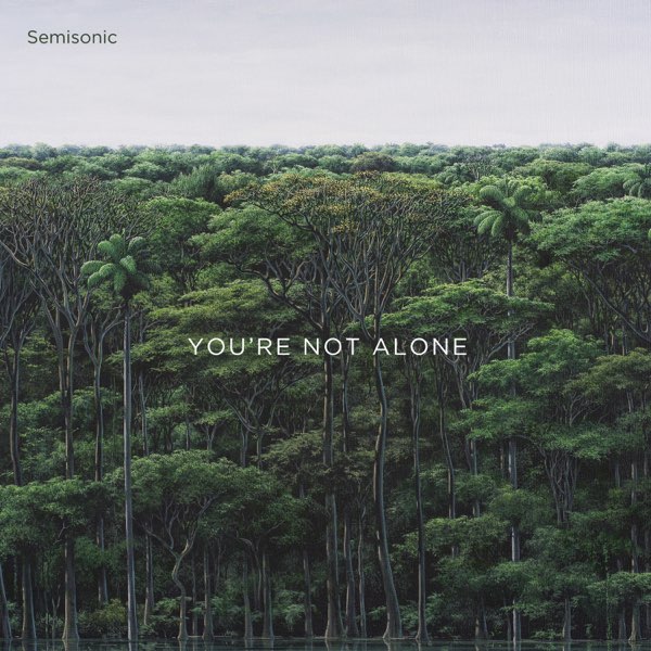 Semisonic You&#039;re Not Alone - EP cover artwork