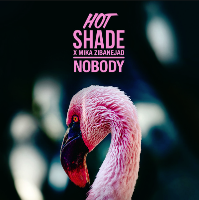 Hot Shade & Mika Zibanejad — Nobody cover artwork