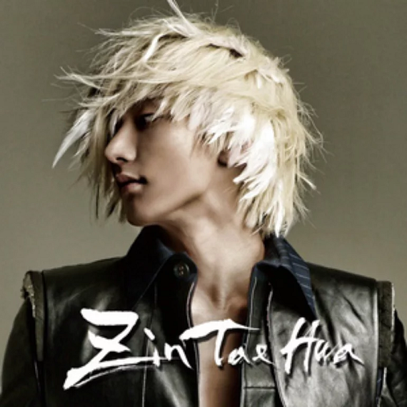 Zin Taehwa Fallen Angel cover artwork